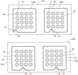 Specimen processing apparatus, specimen measurement system and method for processing specimen