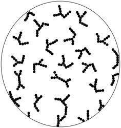 Lithium secondary battery