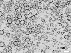 Biodegradable Polyurea/Polyurethane Microcapsules