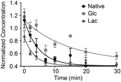 GLYCOPEPTIDES AND USES THEREOF