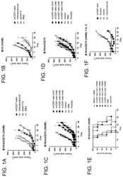 ANTI-CD70 CHIMERIC ANTIGEN RECEPTORS