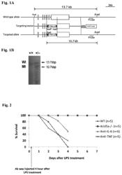 NOVEL THERAPEUTIC AGENT FOR SEPTICEMIA, AND A METHOD FOR SCREENING FOR SAME