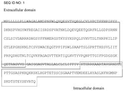 Methods for treatment of patients with myelodysplastic syndromes