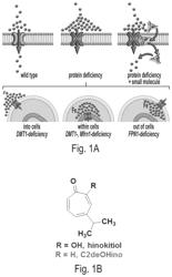 Hinokitiol analogues, methods of preparing and pharmaceutical compositions thereof