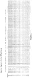 Procoagulant antibodies