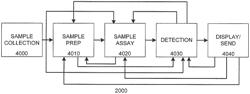 Systems and methods for multi-analysis