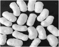 ORALLY DISSOLVING PROTEIN EXTRUDATES