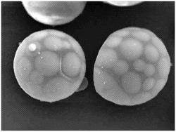 NOVEL FINE HOLLOW PARTICLES COMPRISING MELAMINE-BASED RESIN