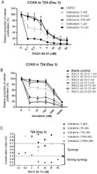 Chemically Modified Small Activating RNA