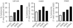 MANIPULATED IMMUNOREGULATORY ELEMENT AND IMMUNITY ALTERED THEREBY