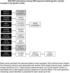 IDENTIFICATION AND TREATMENT OF PATIENTS WITH EPILEPSY