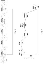 Enzymatic preparation of glucosamine