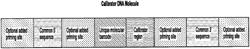 Barcoded molecular standards