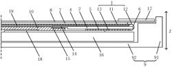 Flexible display device