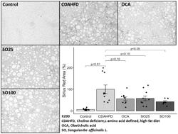 COMPOSITION FOR PREVENTING OR TREATING LIVER FIBROSIS INCLUDING SANGUISORBA OFFICINALIS EXTRACT AS ACTIVE INGREDIENT