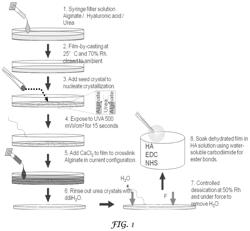 One-Step Processing of Hydrogels for Mechanically Robust and Chemically Desired Features