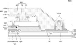 Electroluminescent Display Device