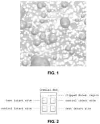 Petrolatum-based compositions comprising cationic biocides