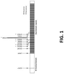 Compositions and methods for targeting MASAs to treat cancers with spliceosome mutations