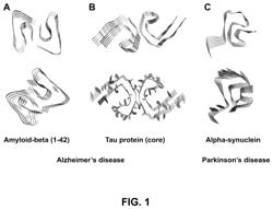 Innocuous, structured scaffolds for structure-based amyloid disease vaccines and antigens