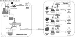 USE OF EXTRACTS OF DISTILLERS' DRIED GRAINS WITH SOLUBLES AS BIOPESTICIDES AND/OR BIOSTIMULANTS