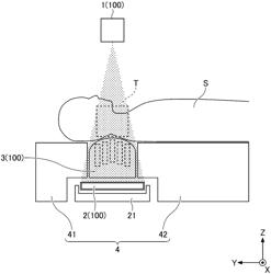 BIOMETRIC APPARATUS, BIOMETRIC METHOD, IMAGE PROCESSING METHOD, AND PROGRAM