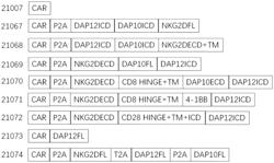 NOVEL CHIMERIC RECEPTOR COMPOSITION, RECOMBINANT VECTOR, CELL, AND APPLICATION THEREOF