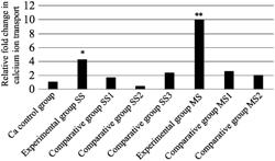 METHOD FOR INCREASING CALCIUM ABSORPTION USING CULTURE OF BIFIDOBACTERIUM LONGUM SUBSP. INFANTIS BLI-02