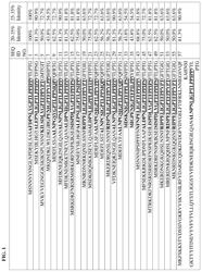 COMPOSITIONS COMPRISING RECOMBINANT BACILLUS CELLS AND A FUNGICIDE