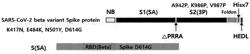 PLANT-BASED COVID-19 VARIANT RECOMBINANT SPIKE PROTEIN EXPRESSION VECTOR AND RECOMBINANT PROTEIN USING SAME