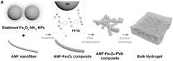 MAGNETIC HYDROGEL WITH A TERNARY MAGNETIC COMPOSITE AND METHOD FOR FABRICATING THE SAME