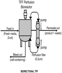 BIDIRECTIONAL TANGENTIAL FLOW FILTRATION (TFF) PERFUSION SYSTEM