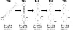 VON WILLEBRAND FACTOR (VWF)-TARGETING AGENTS AND METHODS OF USING THE SAME