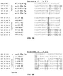 Targeted inhibition using engineered oligonucleotides