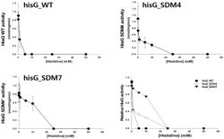 ATP-PRT VARIANT WITH REDUCED FEEDBACK INHIBITION BY HISTIDINE, AND HISTIDINE-PRODUCING STRAIN EXPRESSING SAME