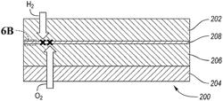 POLYMER ELECTROLYTE WATER ELECTROLYZER GRAPHENE OXIDE FLAKE BLOCKING MATERIAL