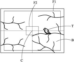 PHOTOGRAPHIC SYSTEM AND OPERATION METHOD THEREOF