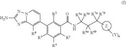 Triazolopyridinyl compounds as kinase inhibitors