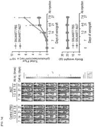 TM4SF5-targeting humanized antibody and use thereof