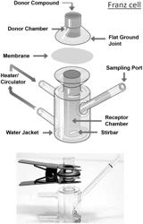 NANOEMULSION WITHOUT PROPYLENE GLYCOL