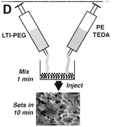 NANOCRYSTALLINE HYDROXYAPATITE/POLYURETHANE HYBRID POLYMERS AND SYNTHESIS THEREOF