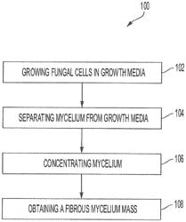 Edible compositions including fungal mycelium protein