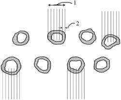 Increased longevity of the nitrogen content of soil through improved liquid delivery formulations of nitrification inhibitors designed for urea and manure based fertilizers