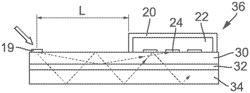 Biochip device