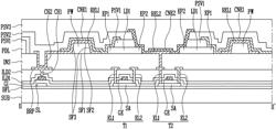 Light emitting device and display device including the same