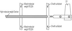 ULTRASOUND-RESPONSIVE AQUEOUS TWO-PHASE MICROCAPSULE DESIGN FOR ON-DEMAND PULSATILE DRUG RELEASE