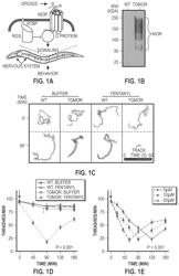 METHODS RELATED TO OPIOID THERAPEUTICS