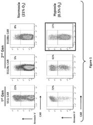 Methods and Compositions for Cells Expressing a Chimeric Intracellular Signaling Molecule