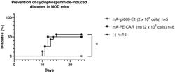 CHIMERIC ANTIGEN RECEPTOR