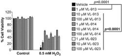 COMPOUNDS AND USES THEREOF IN THE TREATMENT AND PREVENTION OF DISEASES AND CONDITIONS ASSOCIATE WITH OR AGGRAVATED BY IMPAIRED MITOPHAGY OR OXIDATIVE STRESS